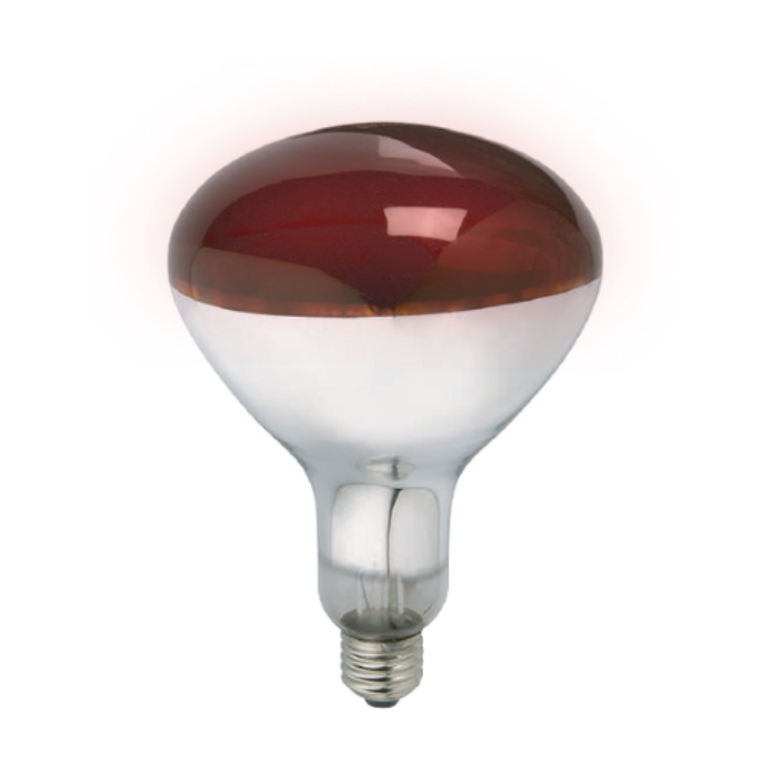 SYNERJI INFRARED R125 LAMP