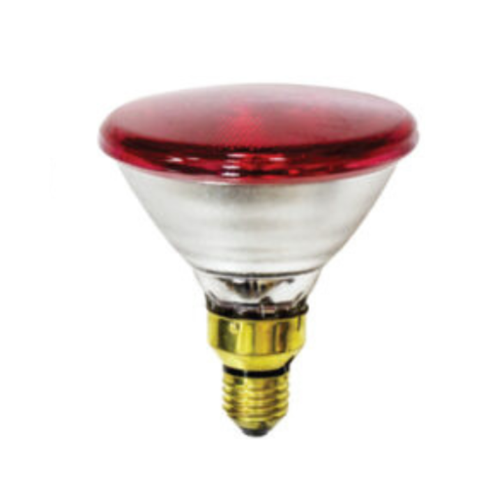 SYNERJI INFRARED PAR38 LAMP