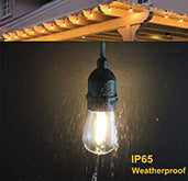 Festoon String Lights – lit bulb in the rain under a pergola