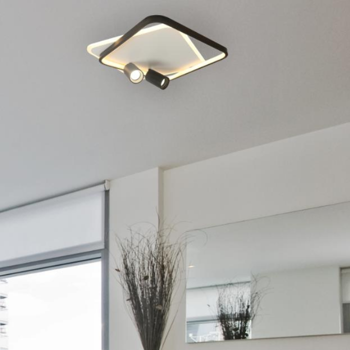 Synerji - Ceiling Light