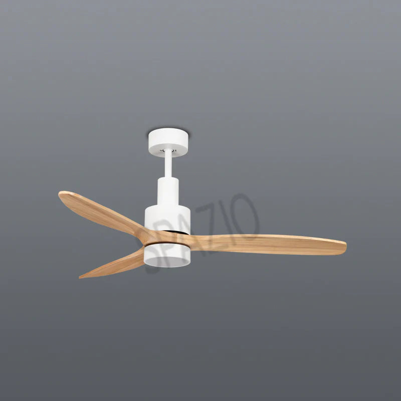 FAN-ATIC CEILING FAN