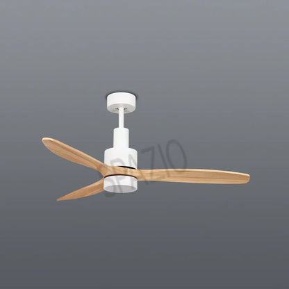 FAN-ATIC CEILING FAN