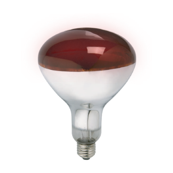 SYNERJI INFRARED R125 LAMP 