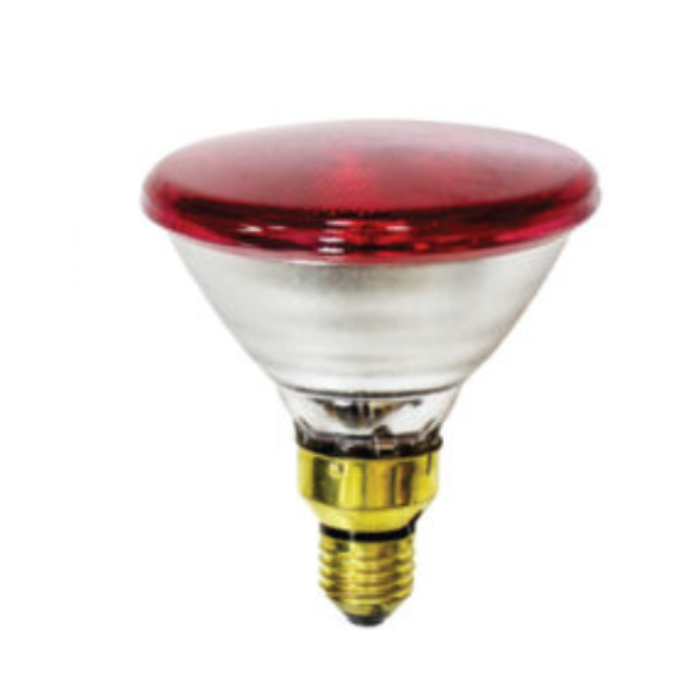 SYNERJI INFRARED PAR38 LAMP 