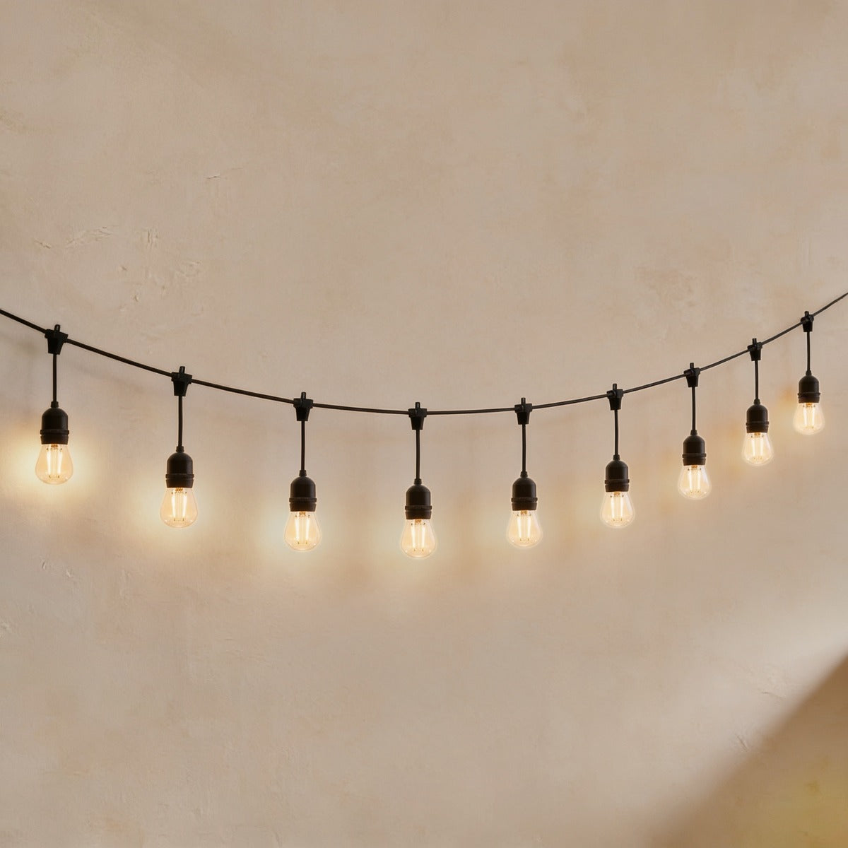 festoon string lights