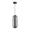Smoke Glass Pendant Light with LED Tube – Metal & Glass, 60W