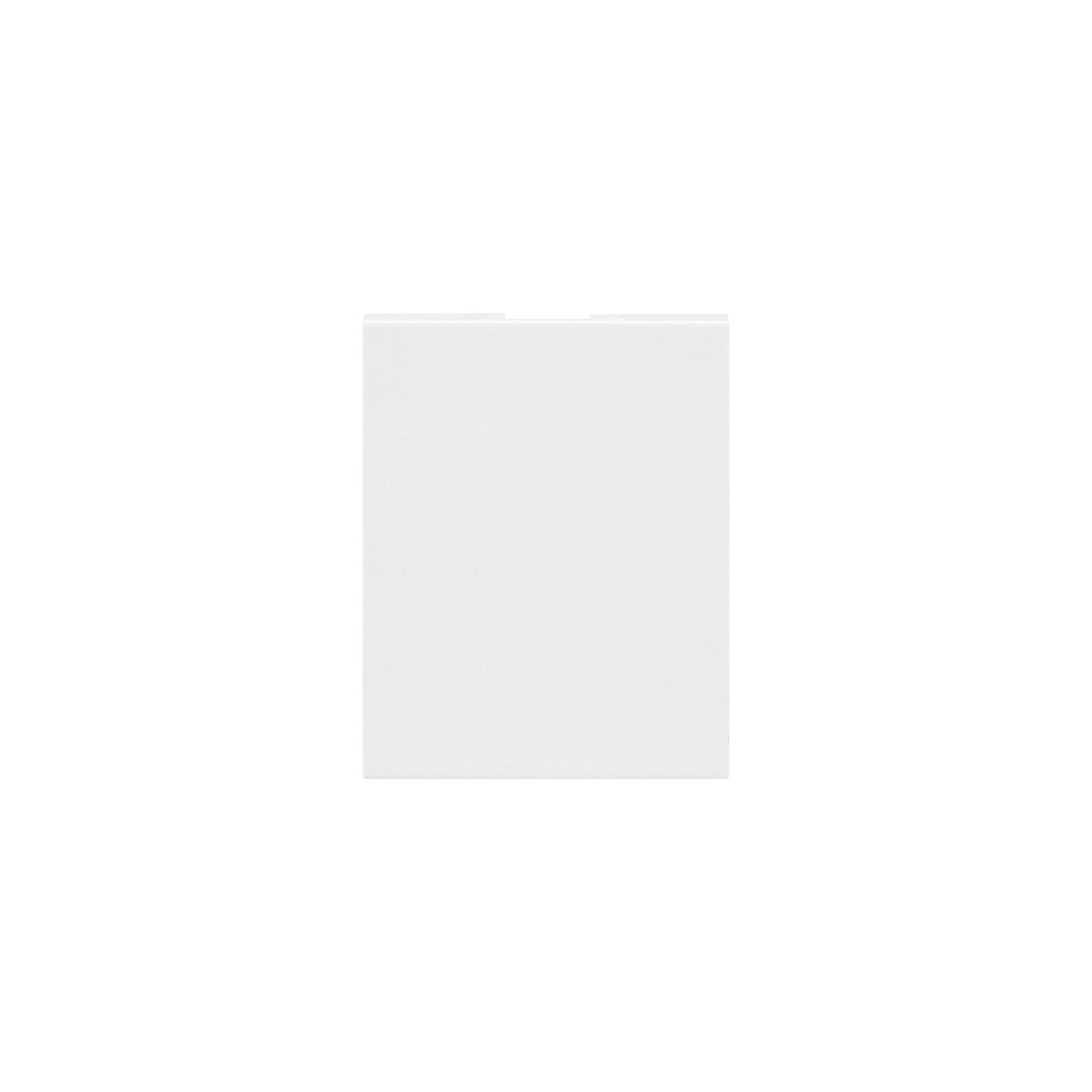 Synerji DECO Blank Double Module – Filler, 4 Finishes