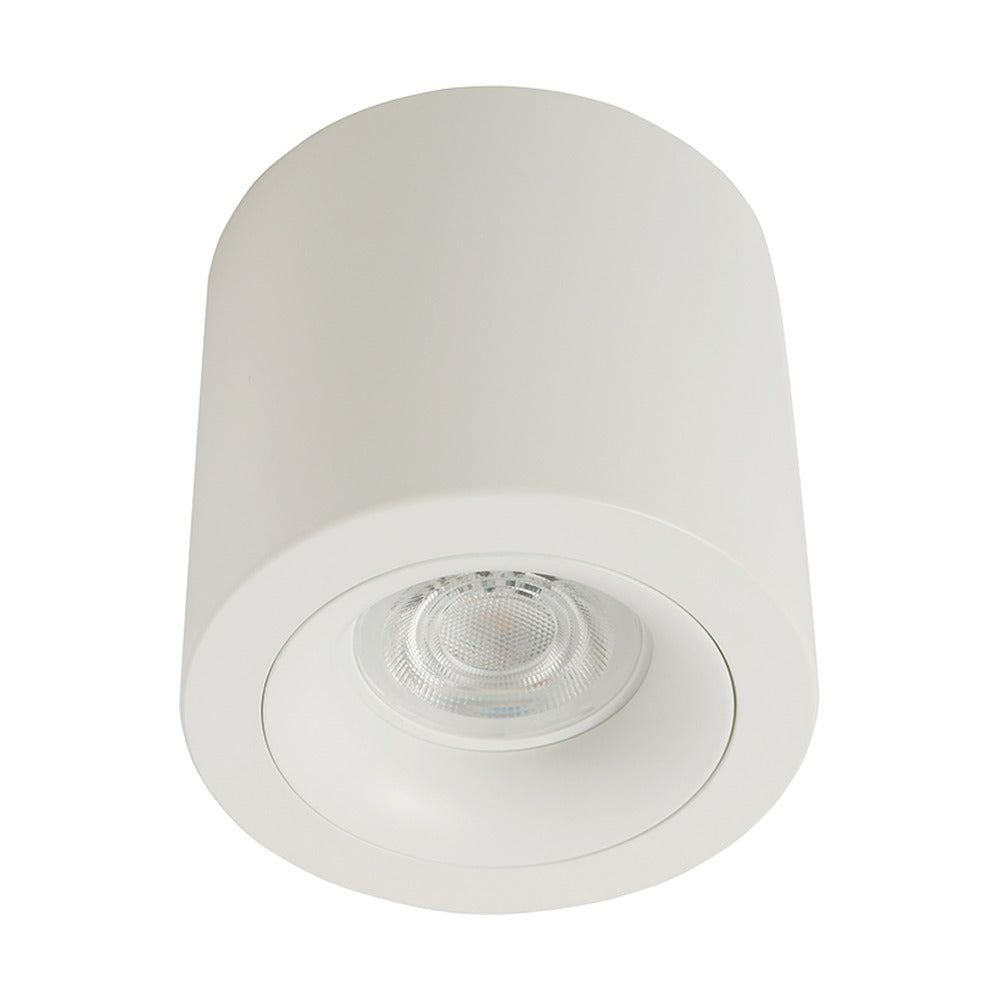 Synerji Surface Mount Downlight Round Fixed Silver and White